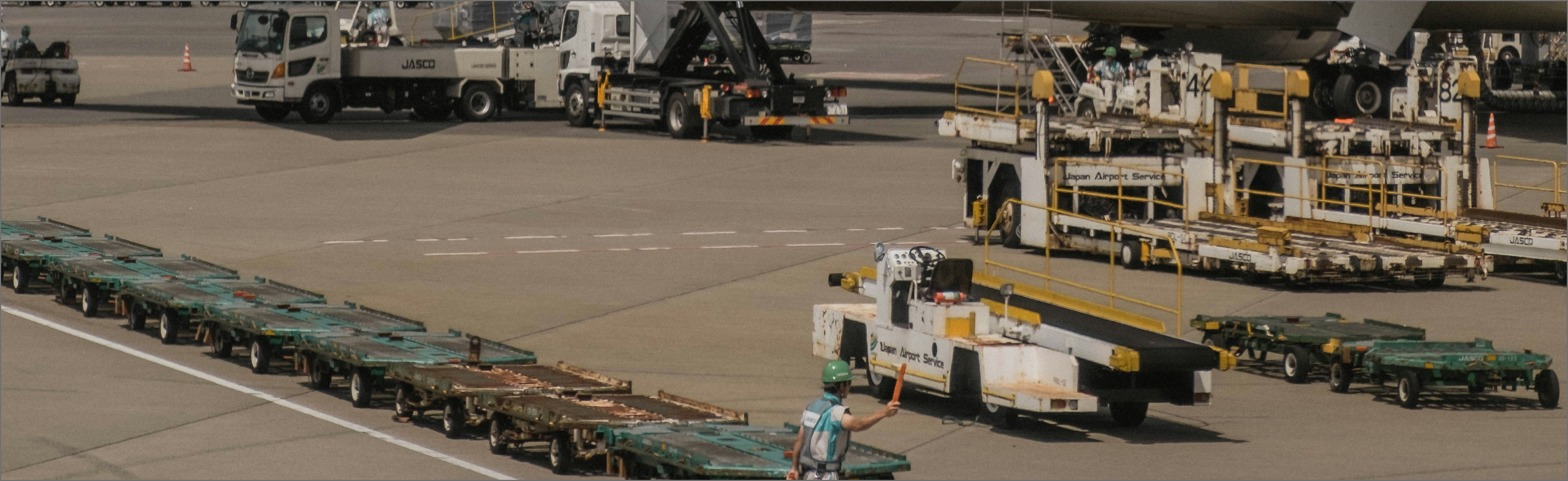  domestic-distribution