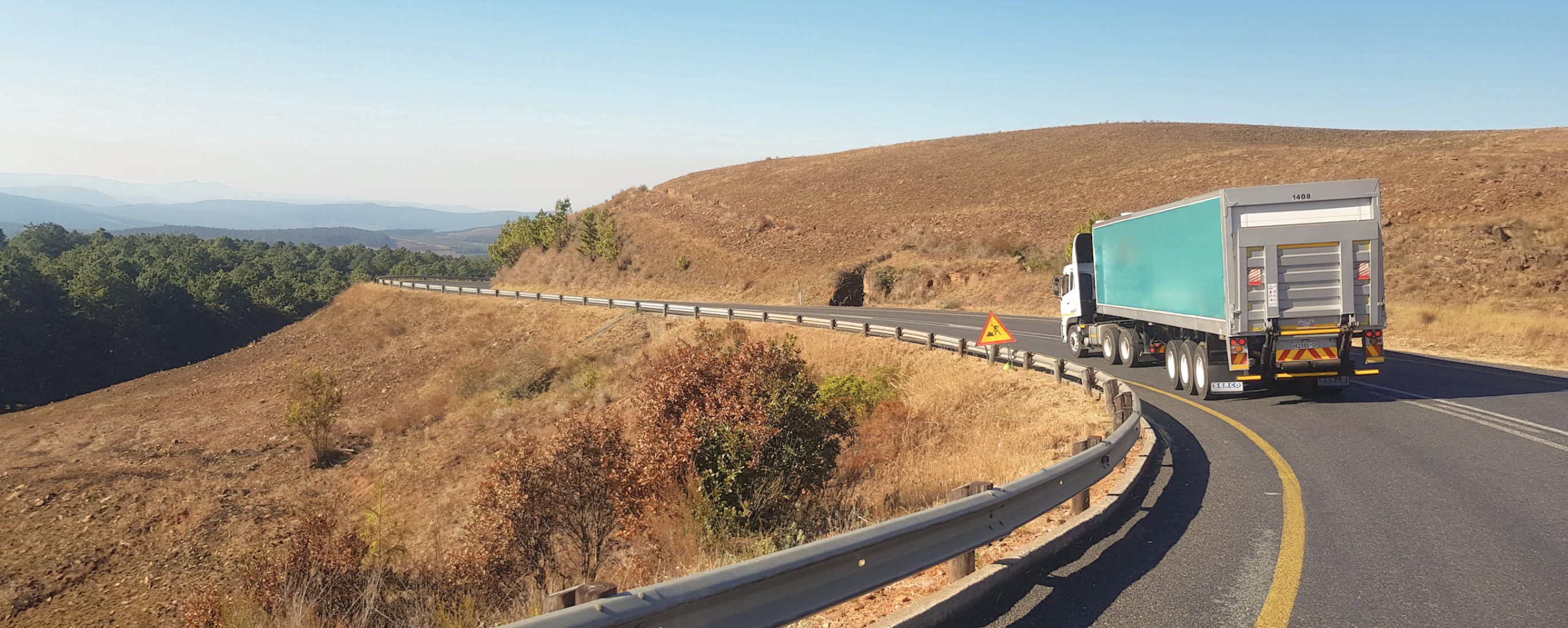  domestic-distribution